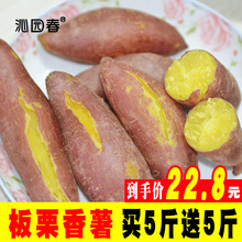 沁园春红薯新鲜板栗红薯蜜薯农家小红香薯烤地瓜紫薯山芋10斤番薯