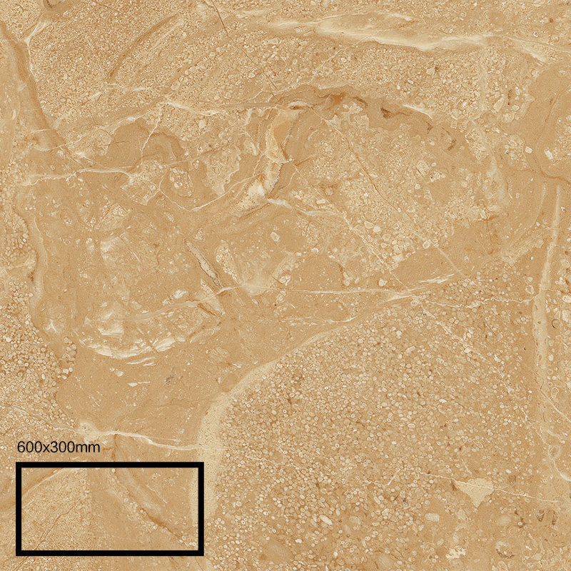 ˳�Է¹Ų�����ש11959