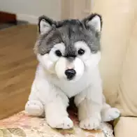 [圖︰ TB2UhOSc7fb_uJkHFNRXXc3vpXa_!!3050362653....jpg_.webp]