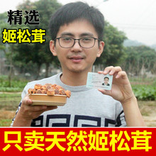 云南特产野生姬松茸柏臀骶菇干货 包邮 特级新鲜长白山农家筛选500g