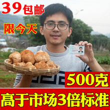 农家自产正宗猴头菇干货非东北仿野生粉新鲜特级养胃粉长白山500g