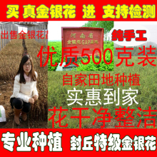 自家 包邮 河南头茬金银花茶500克 2019新花金银花封丘金银花茶