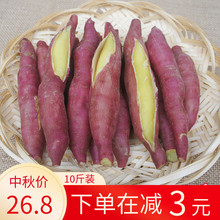 新鲜红薯陕西板栗地瓜农家自种蜜薯黄白心番薯10斤非天目山小香薯