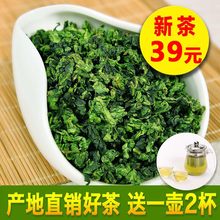买一送3 安溪铁观音浓香型 乌龙茶叶 新茶秋茶1725散装袋装500克