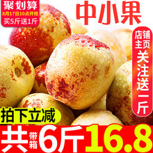 包邮 带箱超5斤 陕西大荔冬枣枣子现货新鲜当季时令水果青枣脆枣
