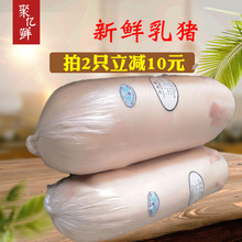 6斤 包邮 只做烤乳猪多省 新鲜乳猪冷冻乳猪整只5 烧烤食材土猪肉