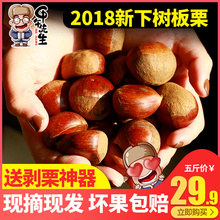 甲午先生 2018东北板栗5斤装野生新鲜油栗子 农家现摘生油栗包邮