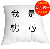 我是枕芯!抱枕枕芯40x40cm45x45cm通用款高弹力pp棉
