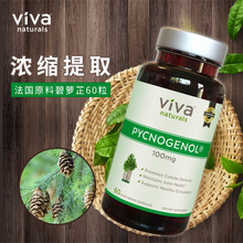 Naturals美国进口碧萝芷法国松树皮胶囊60粒抗衰老逆转肌龄 Viva