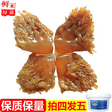 野生海蜇头 凉拌菜非即食 特级海蛰头 皮 500g包邮 拍4斤桶装发货