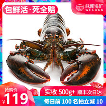 波士顿龙虾鲜活大龙虾特大波龙奥龙海鲜水产活体鲜活澳洲龙虾1斤