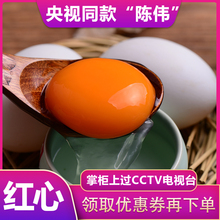 老广西味道还珠湾30个新鲜海鸭蛋广西红树林放生养殖海鸭蛋特产