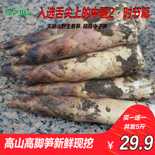 现挖 入选舌尖上 雷笋 中国2·时节篇 竹笋 临安天目山野生春笋