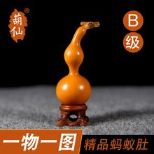 葫仙精品天然蚂蚁肚小葫芦优选一物一图手捻文玩草里金天津嘴亚腰