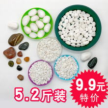 鹅卵石天然小石头雨花石白色小石子白石子花盆盆栽多肉装饰铺面