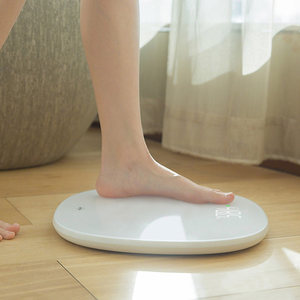 体重秤十大品牌排行榜