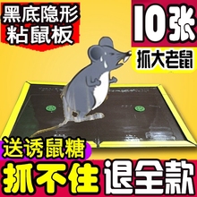 粘鼠板老鼠粘大老鼠家庭老鼠yao灭鼠神器商用餐厅黑色粘鼠纸