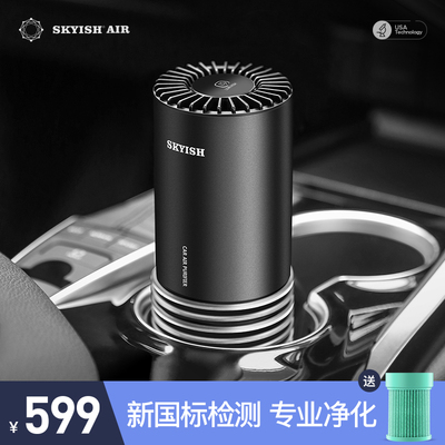 SKYISH/美国施凯西车载空气净化器汽车内除甲醛车用消异味吸烟