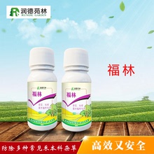 福林 牛筋草狗尾草马唐稗草 禾本科杂草 花草植被藤本植物专用