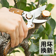 花剪园林园艺剪剪枝剪刀修剪树枝果树剪子修花枝剪修枝剪粗枝省力