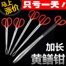 垃圾夹铁钳鳗鱼蟹钳1.2捉鳝鱼钳螃蟹钳子海鲜养蛇工具 捕捉加厚