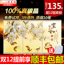 碳晶墙暖电暖器壁画家用电暖气壁挂式电热板节能省电取暖器电暖画