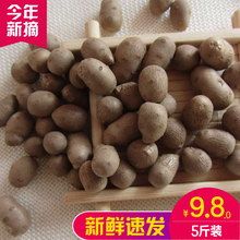 新鲜铁棍山药豆5斤正宗农家陈集小淮山药蛋天然零食秋冬滋补