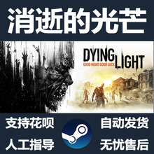 PC正版steam游戏 消逝的光芒 Dying Light 国区礼物 自动发货