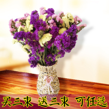 满天星勿忘我干花花束鲜永生花仿真花包邮批发带花瓶客厅插花一扎