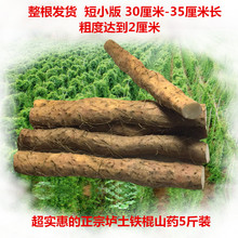 超值5斤装 垆土地山药铁棍山药温县山药淮山药 短山药整根 包邮