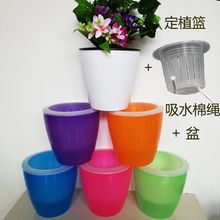 懒人自动吸水储水花盆绿植盆栽可水培两用绿萝塑料圆形彩色花盆