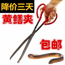 黄鳝泥鳅竹制放引夹夹子防滑竹制钳子神器手工夹夹子黄鳝夹鱼泥鳅