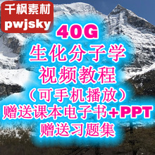 生物化学与分子视频教程人民卫生出版社第8八电子版课件西医考研