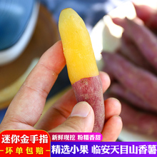 新鲜临安天目山小香薯5斤红薯板栗番薯迷你金手指沙地瓜黄心山芋