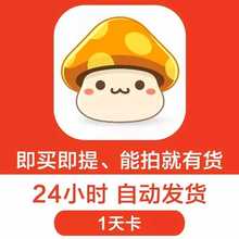 冒险岛伴侣辅助无ngs 全屏稳定 非夜影游侠牛头青蛙 1天卡