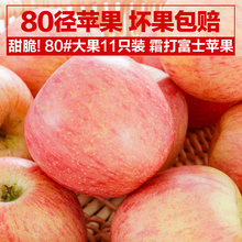 80径大苹果10-12只5斤精装 山东烟台红富士一级果 宝宝孕妇专享