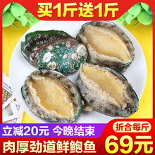 鲍鱼鲜活个大即食大鲍鱼新鲜小鲍鱼佛跳墙贝类海鲜水产500g包邮