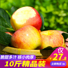 苹果水果10斤新鲜当季红富士整箱批发包邮现摘应季吃的丑苹果