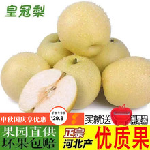 包邮 河北应季果园现摘新鲜水果一级皇冠梨雪花梨鸭梨整箱带箱5斤
