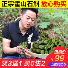 霍之宝 正宗霍山4年新鲜铁皮石斛鲜条铁皮枫斗礼盒装仿 野生