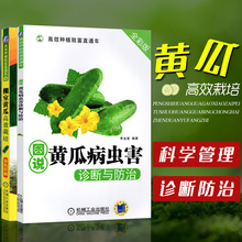 无土栽培 黄瓜病害防治教程 种黄瓜 图说黄瓜病虫害诊断与防治 棚室黄瓜育苗管理 大棚蔬菜种植技术大全书籍 高效栽培黄瓜