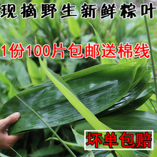 野生新鲜粽叶箬叶干粽叶纯天然棕叶竹叶麻叶非芦苇叶1份100片送线