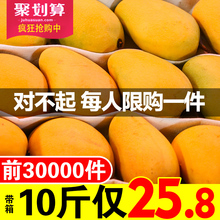 包邮 研究生海南应当季新鲜时令水果小台芒果青直批整箱热带箱10斤