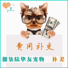 费用补交 差多少钱拍多少个 北京专业狗狗寄养 训练 挚友宠物