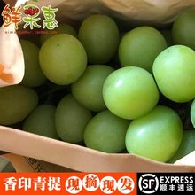 包邮 发顺丰 无核香印青提葡萄青幻阳光玫瑰新鲜水果晴王提子3斤装
