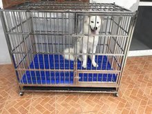 星斗 不锈钢狗笼子中型大型犬泰迪金毛拉布拉多德牧宠物笼子