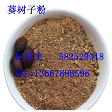 葵树子 2斤 包邮 葵树籽 蒲葵籽 广西野生葵扇子粉