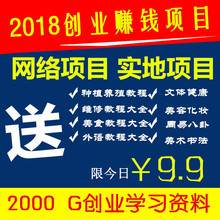 2018创业全套学习资料偏门项目宝典学习小本创业快速赚钱