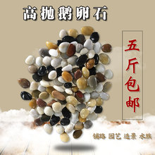 天然雨花石鹅卵石原石鱼缸造景石家装园林深抛光黑白黄红五彩石子
