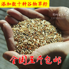 虎皮 牡丹 玄凤 中小型鹦鹉文鸟食鸟粮 鹦鹉混合饲料 加强款 包邮
